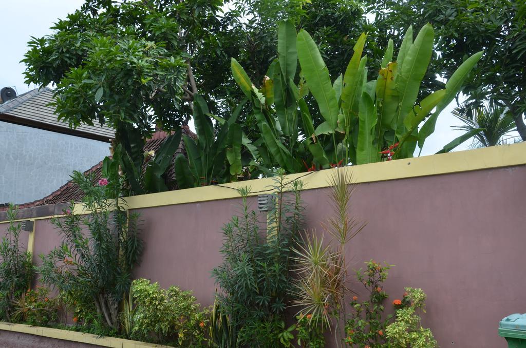 Villa Eva Canggu  Ngoại thất bức ảnh