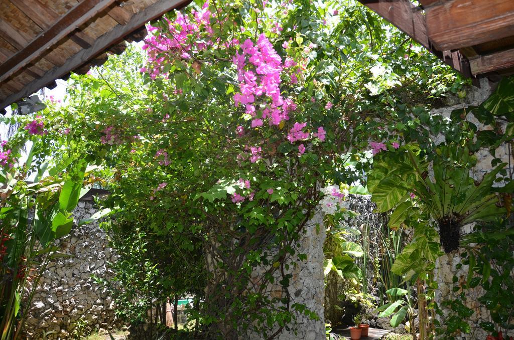 Villa Eva Canggu  Ngoại thất bức ảnh